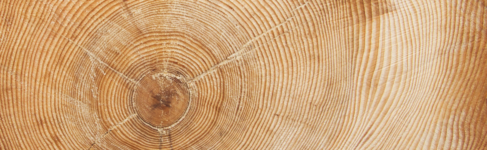 Wood Analysis Instrumentation